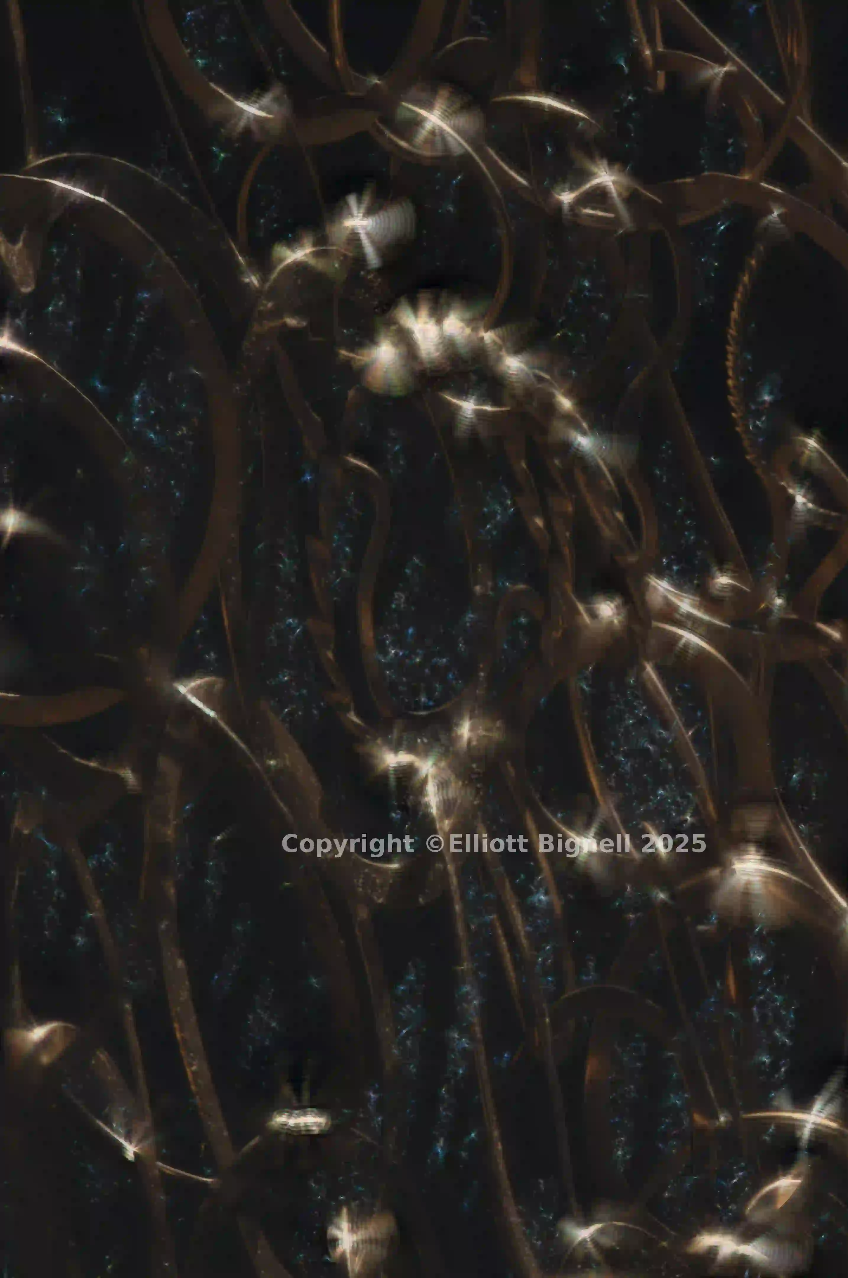 2013-11-23-11.07.30 ZS PMax.jpg